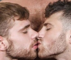 GayOnlyPorn avatar
